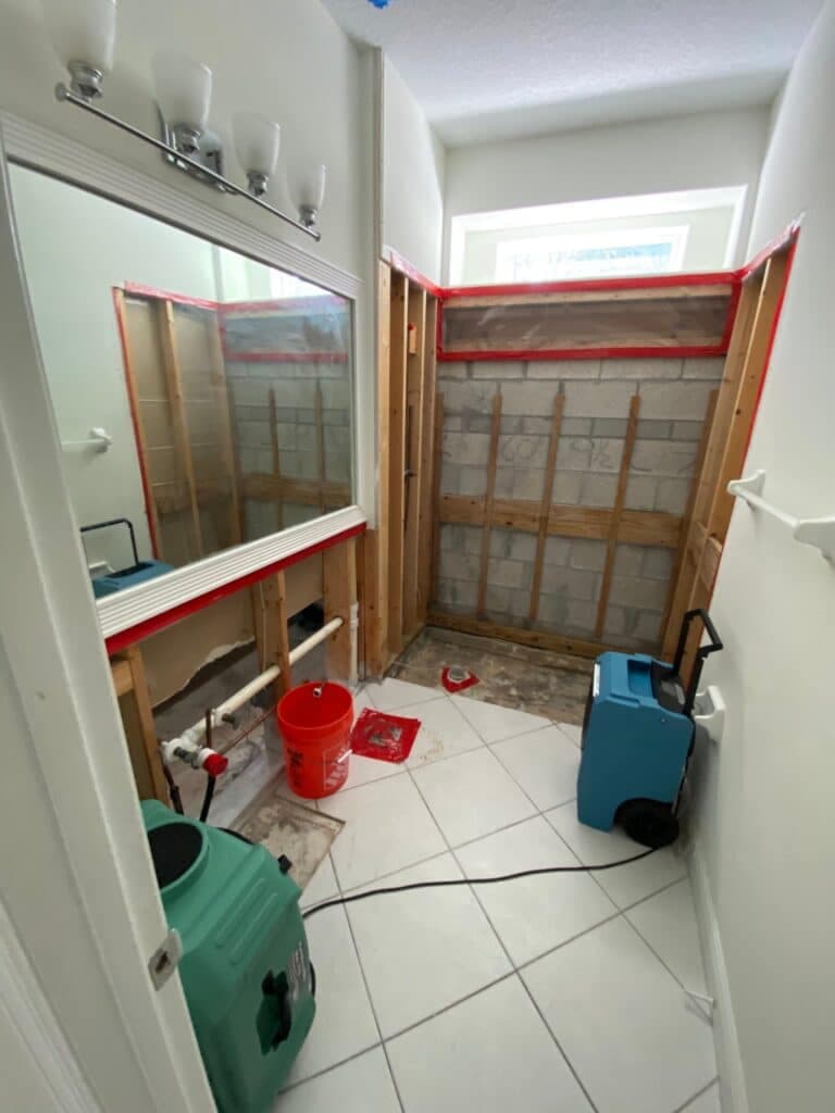 Opened wall on a real TLG remediation job
